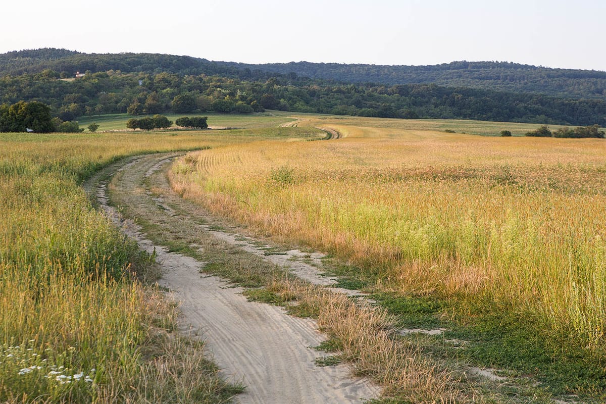 Krajině dlužíme mnohé