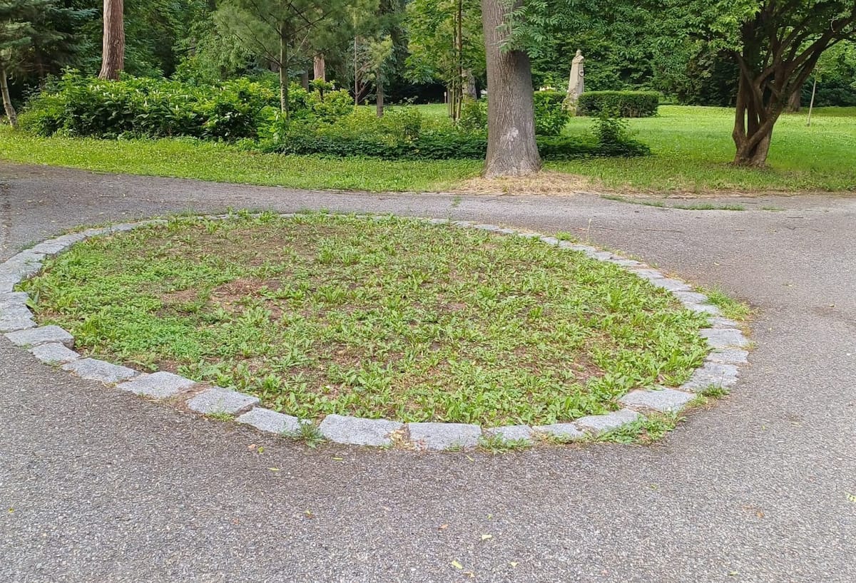 Zeleň v Kyjově mi nedá spát