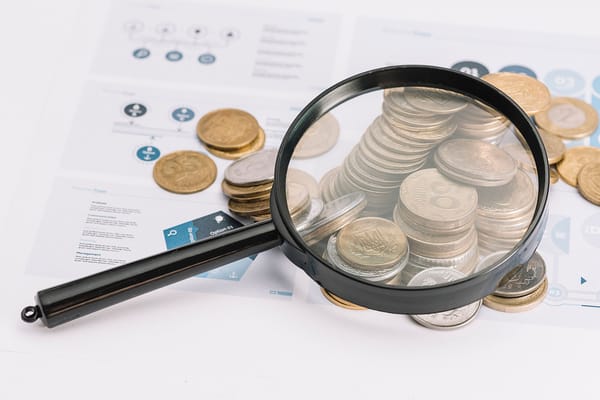 Aktualita z finančního výboru. Doporučujeme změny v hospodaření lesů.