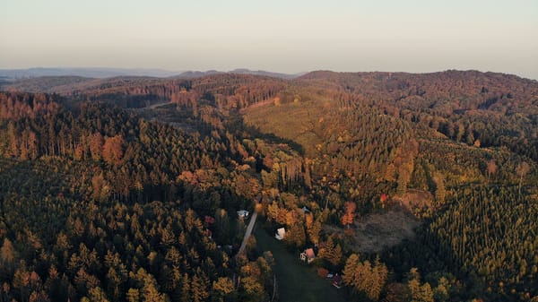 Hospodaření střediska myslivosti volá po zprůhlednění