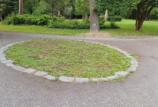 Zeleň v Kyjově mi nedá spát